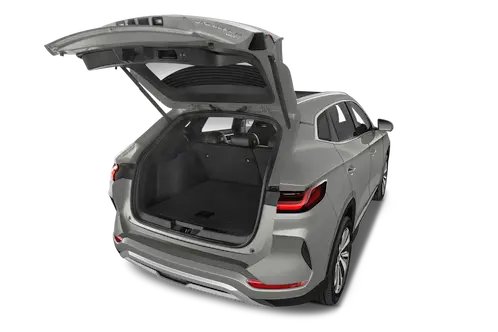 trunk