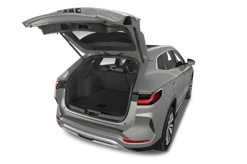 trunk