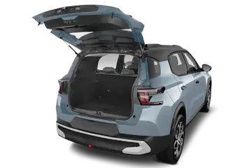 trunk