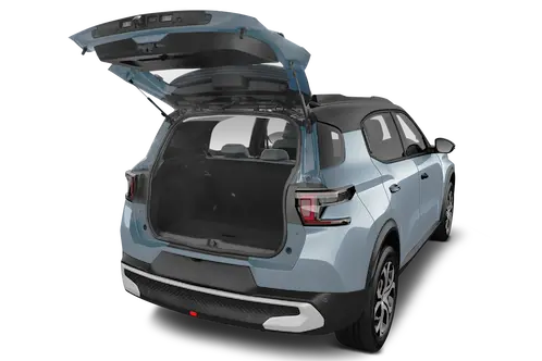 trunk