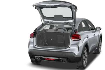trunk