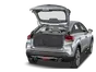 trunk