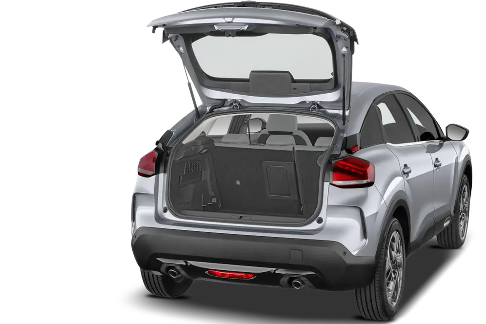 trunk