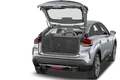 trunk
