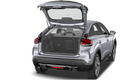 trunk