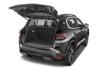 trunk