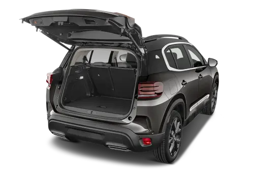 trunk