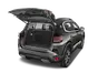 trunk
