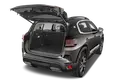 trunk