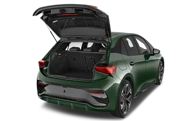 trunk