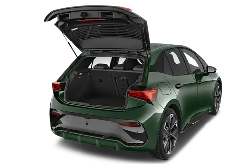trunk