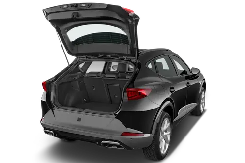 trunk