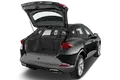 trunk
