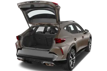 trunk