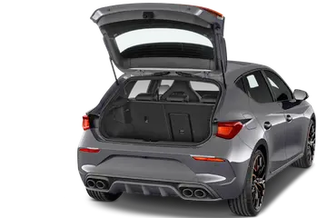 trunk
