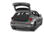 trunk