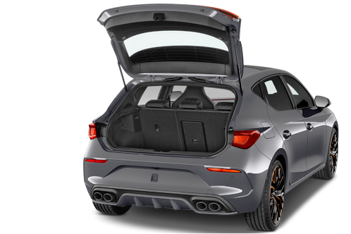 trunk