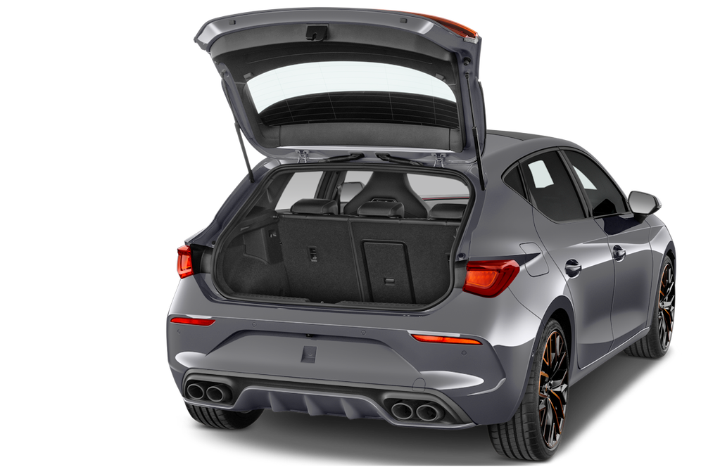 trunk