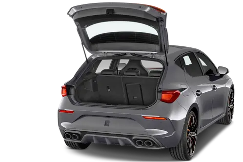 trunk