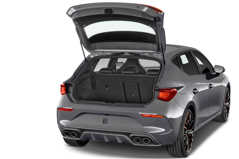 trunk