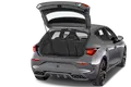trunk