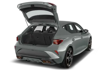 trunk