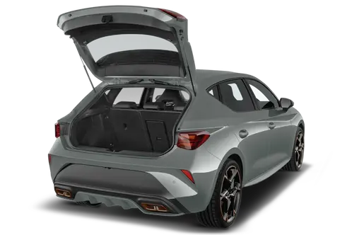 trunk