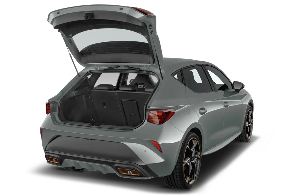 trunk