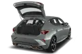 trunk