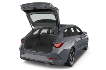 trunk
