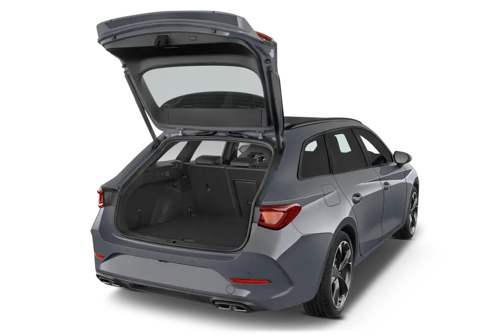 trunk