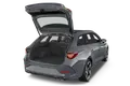 trunk