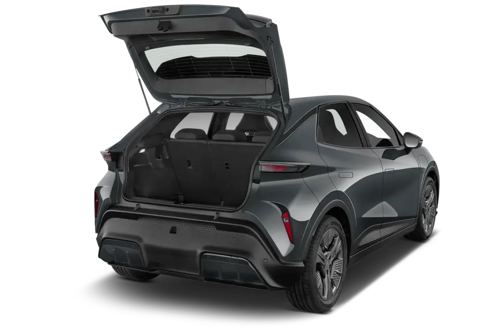 trunk
