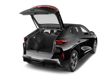 trunk