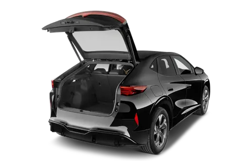 trunk
