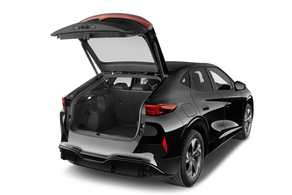 trunk