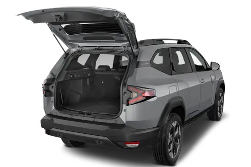 trunk
