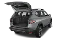 trunk