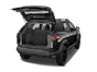 trunk