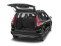 trunk