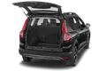 trunk