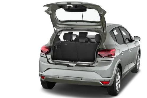 trunk