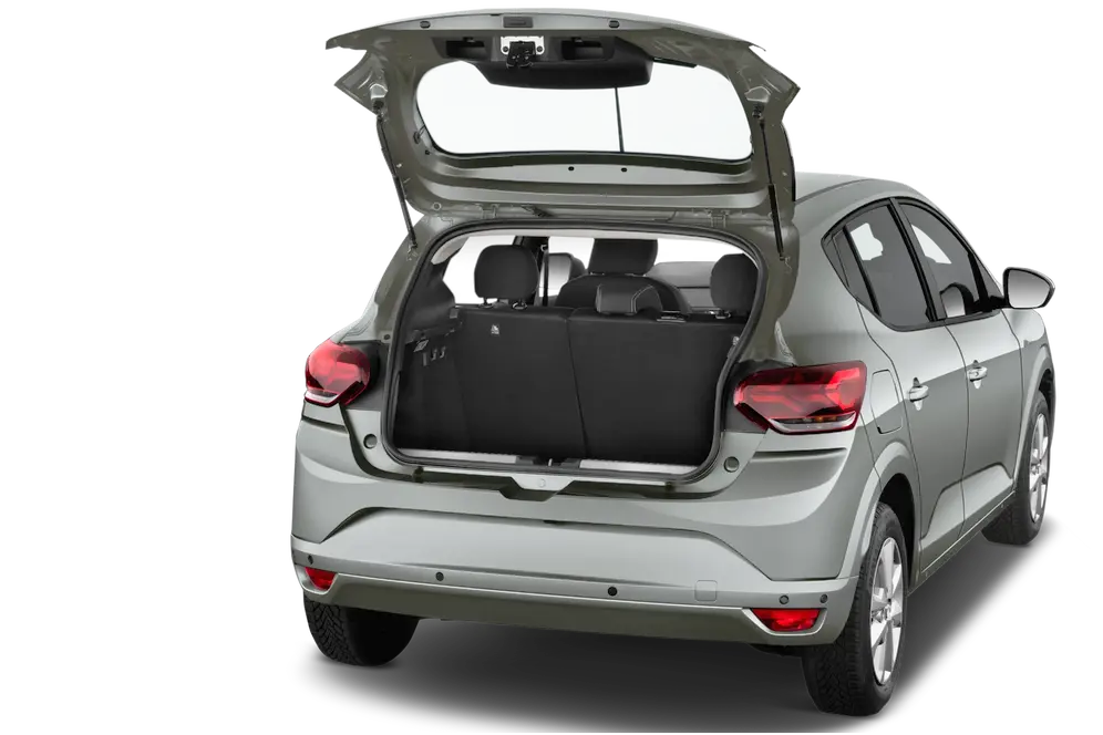 trunk