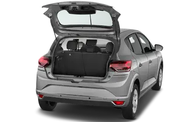trunk