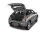 trunk