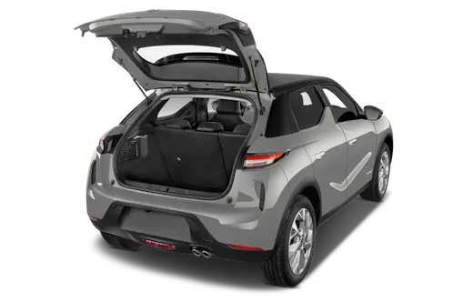 trunk