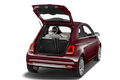 trunk