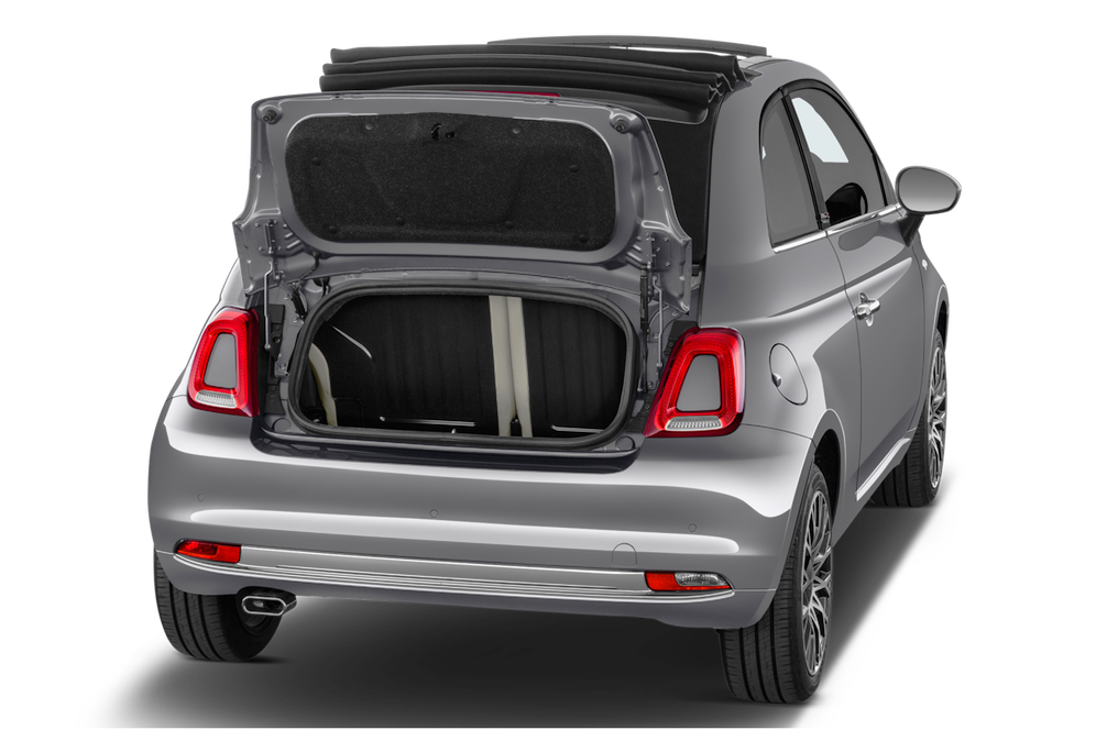 trunk