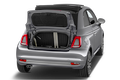 trunk
