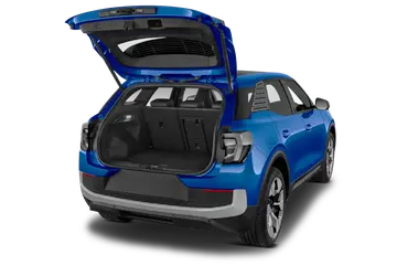 trunk